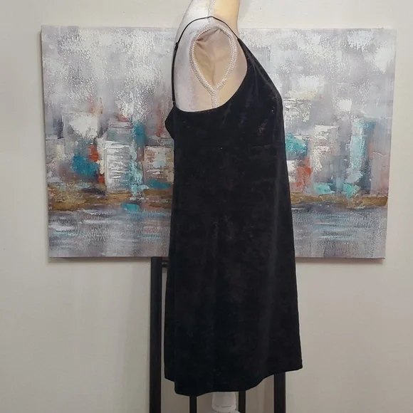 BB Dakota mini dress size large - Picture 3 of 11